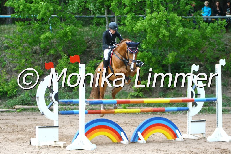 104M6946_Silvio_Stil L.JPG